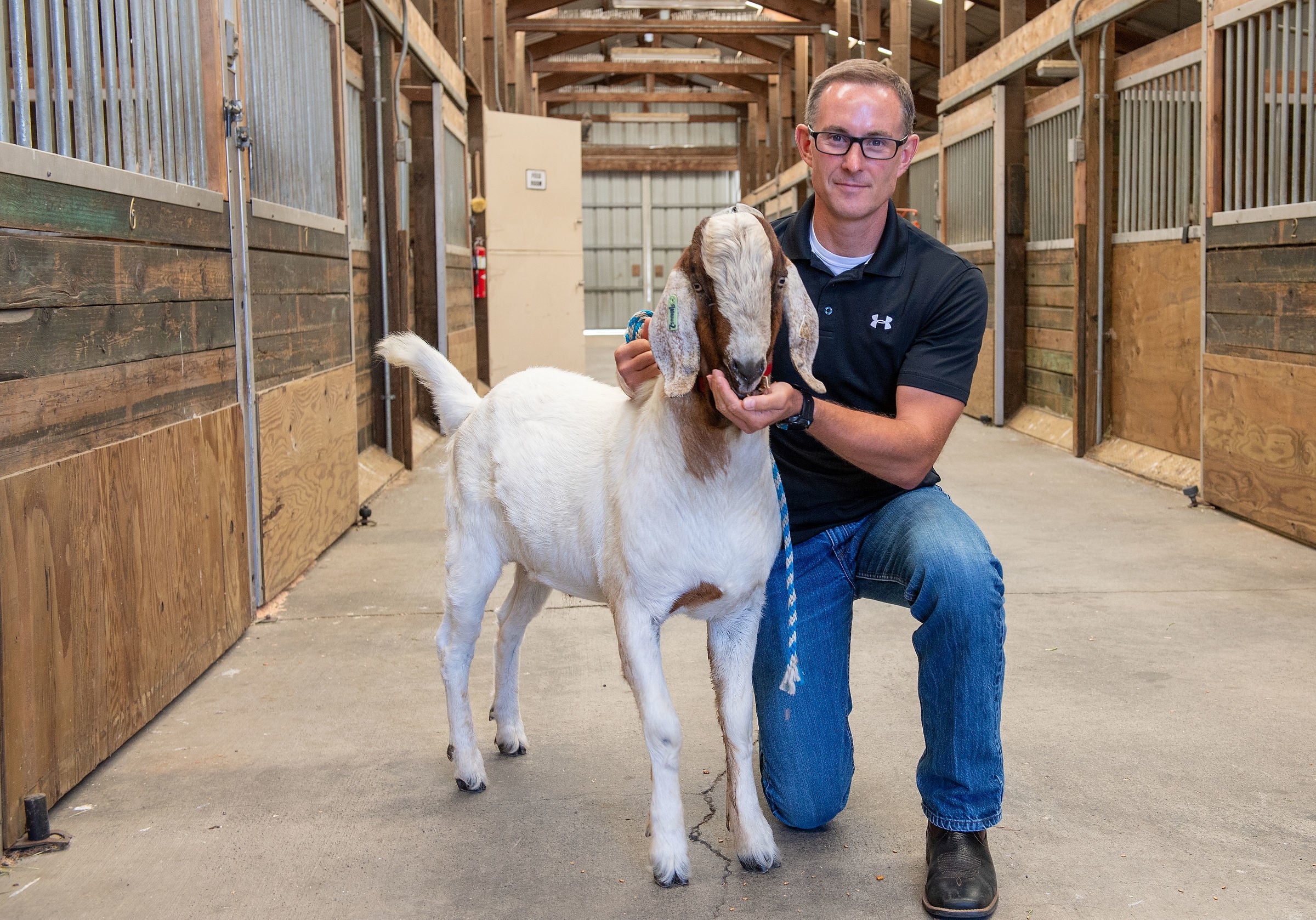 Cloned testicles allow infertile goats to ‘super dads’ The